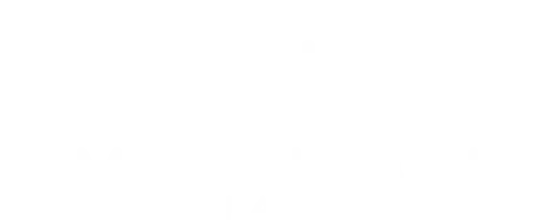 Morphtech Labs